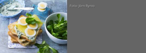 Rezeptbild für "Eiersandwich mit Kräuter-Mayo"