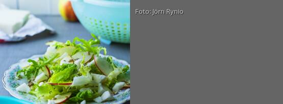 Rezeptbild für "Salat mit Ziegenkäse"