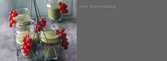 Rezeptbild für "Smoothie mit Eichblatt, Mangold und Petersilie"