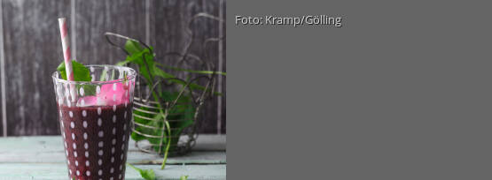 Rezeptbild für "Wildkräuter Smoothie mit Heidelbeeren und Aloe vera"