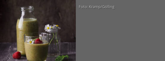 Rezeptbild für "Wellness-Smoothie mit Blättern und Gänseblümchen"