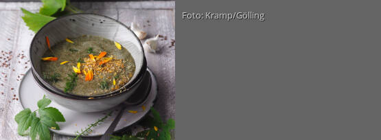 Rezeptbild für "Suppen-Smoothie mit Giersch, Schafgarbe und wildem Wein"