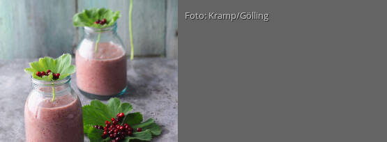 Rezeptbild für "Smoothie mit Chia, Frauenmantel und Baobab"