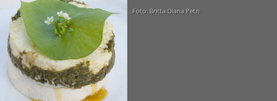 Rezeptbild für "Macadamia-Nuss-Käse"