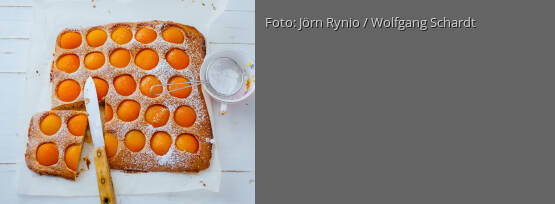 Rezeptbild für "Aprikosenkuchen"