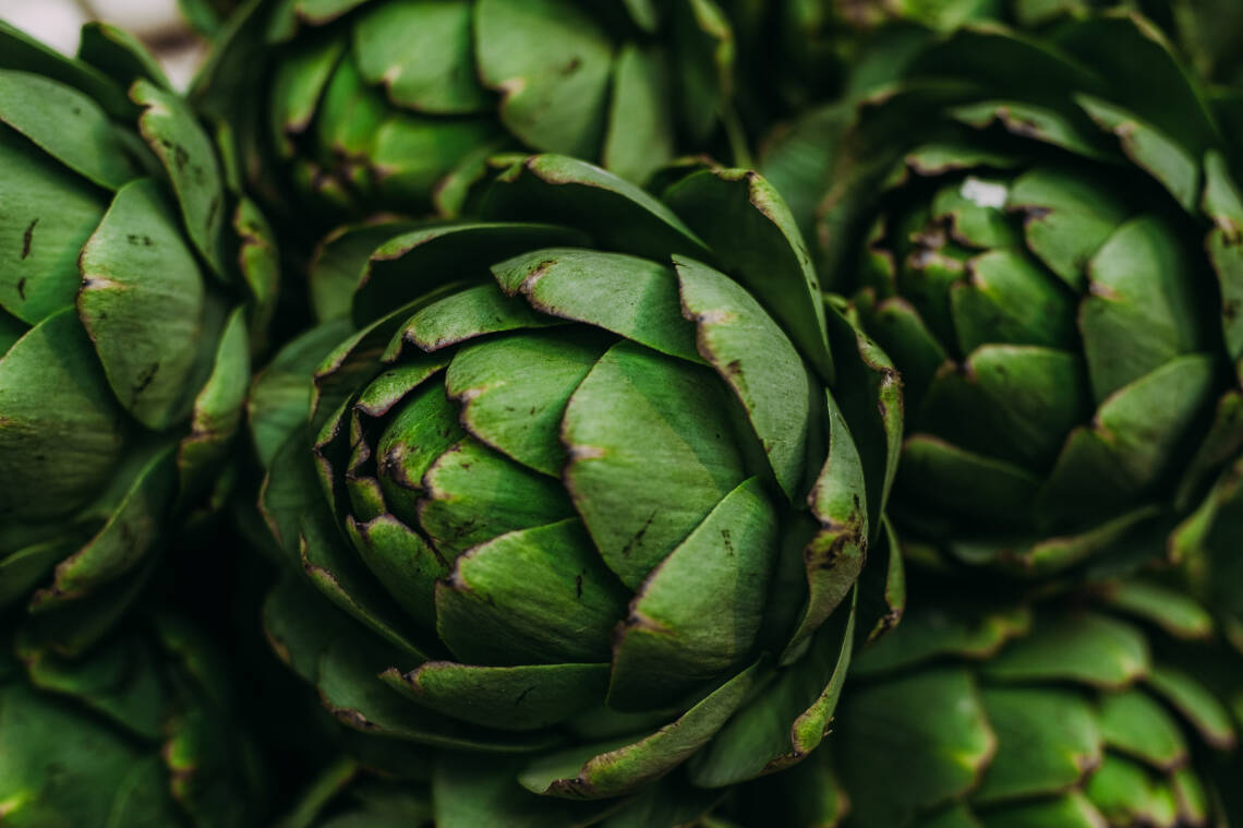 Frische grüne Artischocken