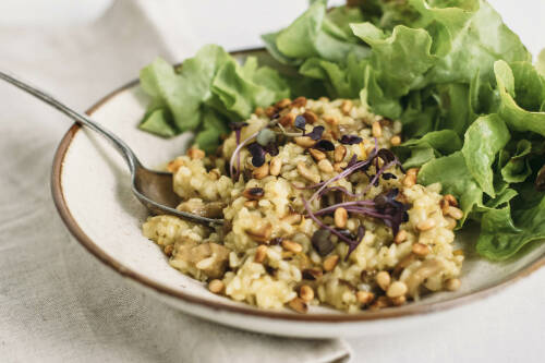 Pilzrisotto mit Salat auf einem Teller, von oben fotografiert.