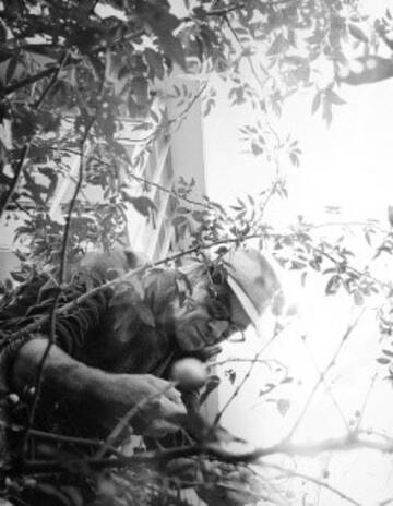 Profilbild Maurice Maggi