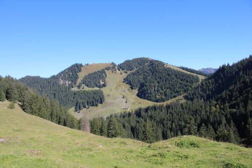 Bodenschneid in der Sonne.
