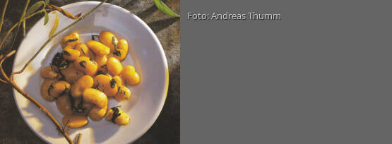 Rezeptbild für "Bohnen mit Salbei"