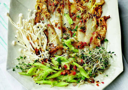 Bunte Platte mit verschiedenen Sprossen und Chinakohl von oben fotografiert.