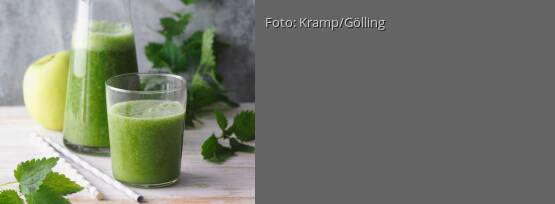 Rezeptbild für "Detox-Smoothie mit Romana und Brennnesseln"