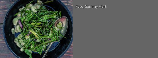 Rezeptbild für "Dicke Bohnen mit Wegwartengemüse"