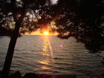 Profilbild Lechkiesel