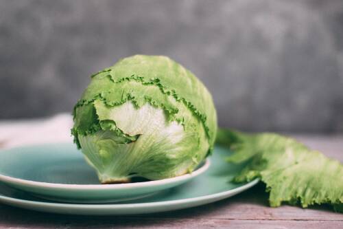 knackig-grüner Eisbergsalat auf blauem Teller vor grauem Hintergrund, von vorne fotografiert