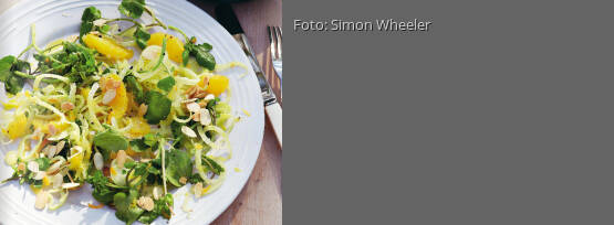 Rezeptbild für "Fenchel, Orange, Brunnenkresse"