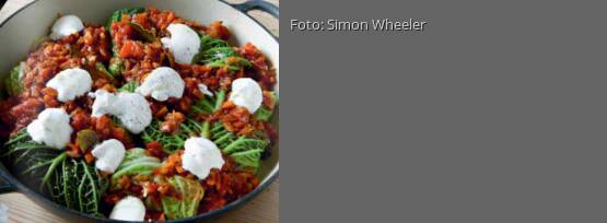 Rezeptbild für "Gefüllte Kohlwickel"