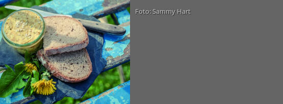 Rezeptbild für "Goldblüten-Streich"