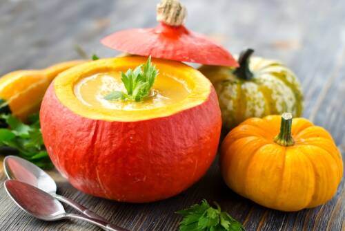 Hokkaido mit Suppe neben Zierkürbissen und Löffeln vor dunklem Hintergrund.