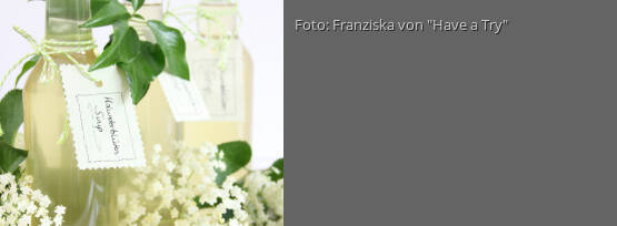 Rezeptbild für "Holunderblütensirup"