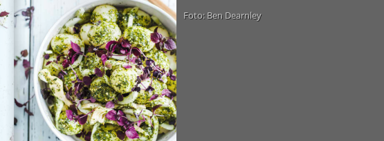 Rezeptbild für "Kartoffelsalat mit Korianderpesto"