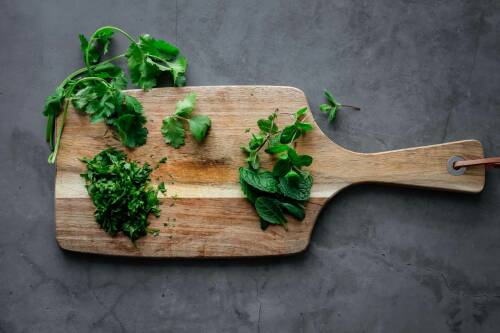 Koriander schneiden auf Schneidebrett vor dunklem Hintergrund.