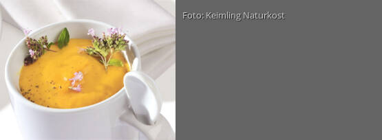 Rezeptbild für "Rohköstliche Kürbiscreme-Suppe"