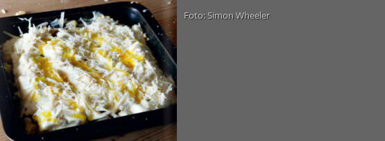 Rezeptbild für "Kürbis-Fenchel-Lasagne"