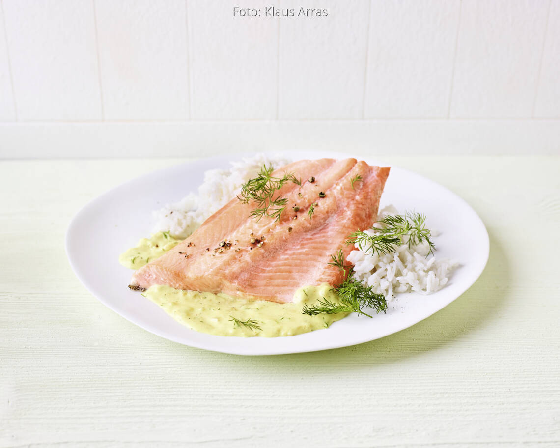 Lachsforelle mit Dillrahm