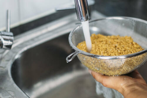 Lupinenschrot in Sieb mit Wasser.