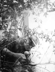 Profilbild Maurice Maggi