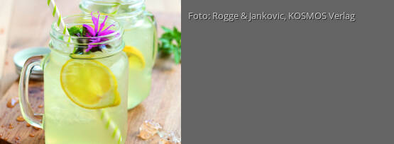 Rezeptbild für "Monarden-Limonade"