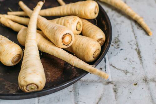 Pastinaken auf einem Tablett von vorne fotografiert