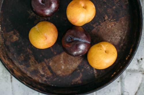 Gelbe und lila Pflaumen auf einem Tablett von oben fotografiert