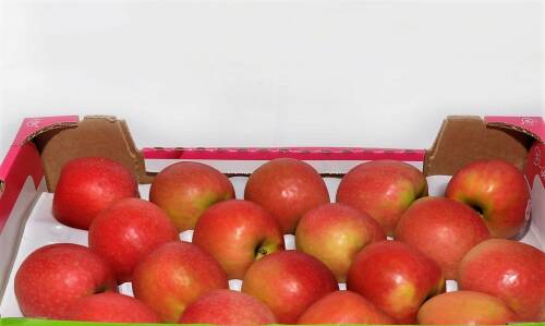 Steige mit Pinkladyäpfeln gefüllt.