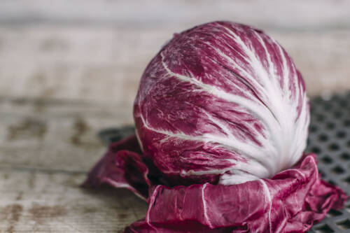 Radicchio vor hellem Hintergrund.