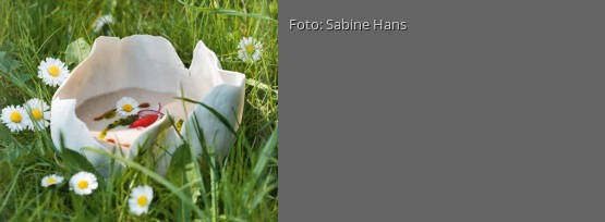 Rezeptbild für "Radieschen-Schaumsuppe mit Radieschenblätterpesto und Gänseblümchen"