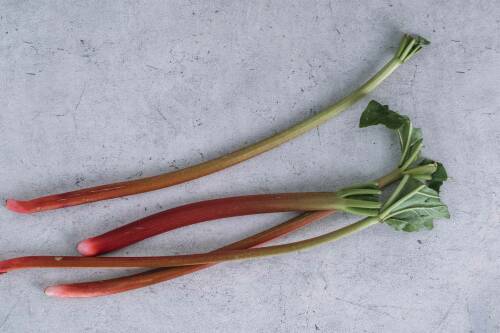 Frischer Rhabarber: 4 Stangen auf grauem Untergrund.