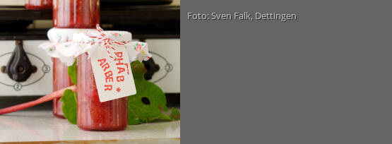 Rezeptbild für "Rhabarber-Aufstrich"