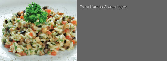 Rezeptbild für "Risotto al Funghi mit Salat"