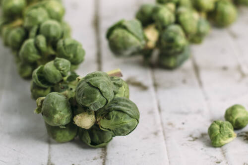 Rosenkohl vor hellem Hintergrund.