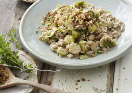 Risotto kennt man oft nur mit Pilzen, dieses hier überzeugt mit Vollkornreis und Rosenkohl. Hier zu sehen auf einem weißen Teller, daneben Kochlöffel und Rosmarin, von oben fotografiert.
