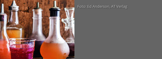 Rezeptbild für "Ingwer-Minze-Shrub"