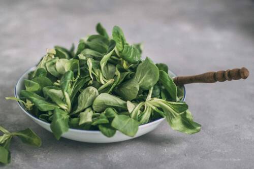 Frischer Feldsalat in einer Schüssel