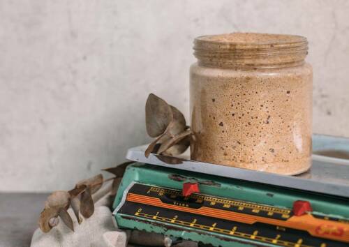 Sauerteig im Glas von vorne fotografiert.