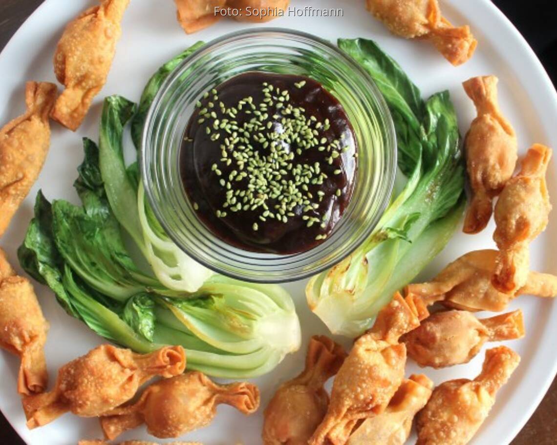 Weißer Teller mit scharfen Wan-Tans, Salat und Pflaumensoße im Gläschen