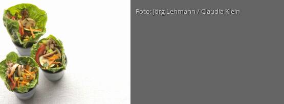 Rezeptbild für "Schlemmer-Wraps"