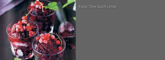 Rezeptbild für "Schwarze-Johannisbeeren-Sorbet"