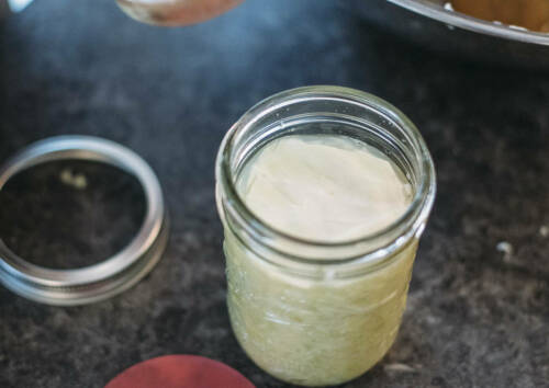 Ein runder "Deckel" aus Kohlblatt liegt auf dem Sauerkraut im Glas und hält es unten.