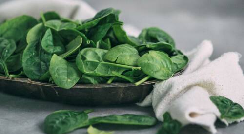 Schale gefüllt mit rohen Babyspinat-Blättern vor hellgrauem Hintergrund. Von der Seite fotografiert.